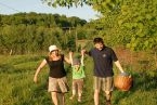 Piknik z naturą w środku lata