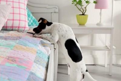 Jak urządzić wnętrze w stylu minimalistycznym?