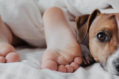 Powody, dla których luksusowy materac to najlepsza inwestycja dla nastolatka