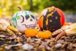 Lampion z dyni: Co zrobić żeby dynia na Halloween nie gniła?