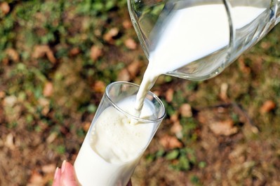 Mleko bez laktozy – czy powinniśmy je pić?