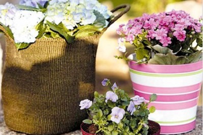 Jak wykorzystać rośliny na balkonie?