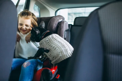 GIS apeluje: Nigdy nie zostawiaj dziecka w samochodzie!