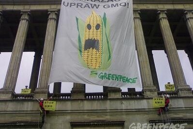 STOP GMO - czy nie jest już za późno?