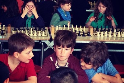 Obowiązkowe lekcje szachów w szkole od 2017r!