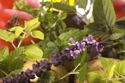Jak pielęgnować i do czego stosować zioła domowej uprawy? Przyprawy i leczenie