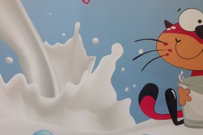 Rodzice małych odkrywców: czy wiecie dlaczego warto mieć kota na punkcie mleka?