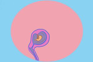 Przebieg ciąży: tydzień 9 - 13