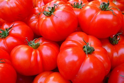 Pomidory faszerowane z mięsem