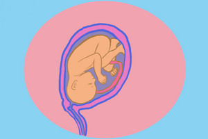 Przebieg ciąży: tydzień 23 - 27