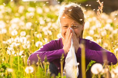 Alergia – światowa pandemia 