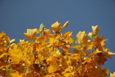 Jesień nad morzem, Łeba i okolice