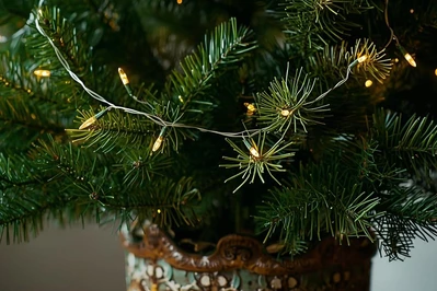 Wypożyczenie choinki &mdash; ekologiczny spos&oacute;b na świąteczne drzewko