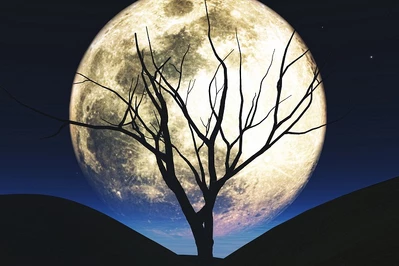Kiedy jest pełnia Księżyca w czerwcu 2023? Truskawkowy Księżyc już wkrótce na niebie!