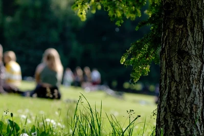 Kiedy jest długi weekend w czerwcu 2023? Czy jest wolny od szkoły?