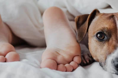 Powody, dla kt&oacute;rych luksusowy materac to najlepsza inwestycja dla nastolatka