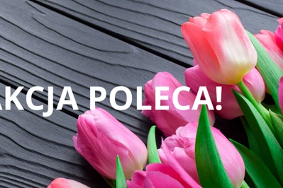 Redakcja poleca w marcu: Energia na wiosnę!