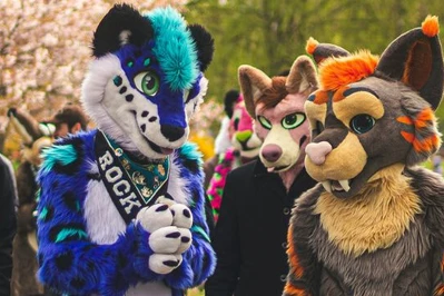Kim są furasy? Subkultura furry. Co rodzic powinien wiedzieć?