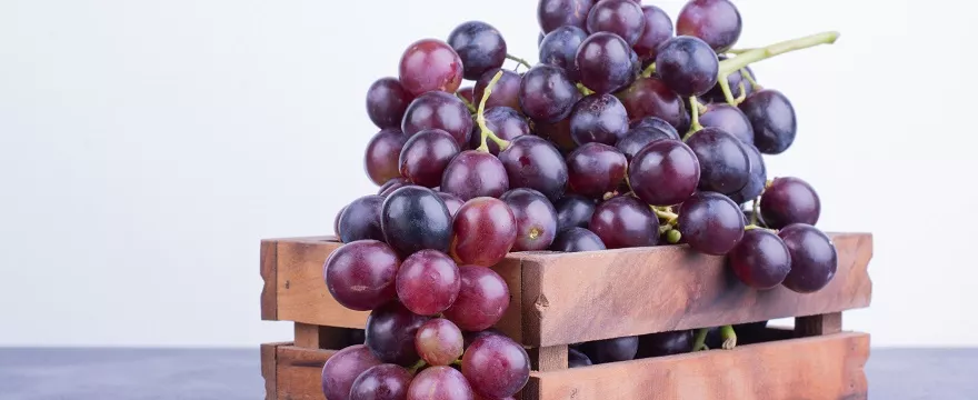 Winogrona dla dziecka: UWAŻAJ gdy dziecko je te owoce! Jak BEZPIECZNIE podawać dzieciom winogrona?