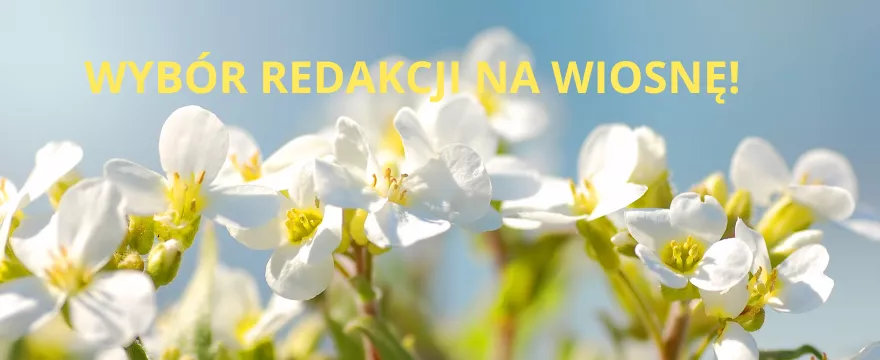 Wybór redakcji: marzec pełen atrakcji – kino, teatr, prezenty i dobra zabawa na wiosnę!