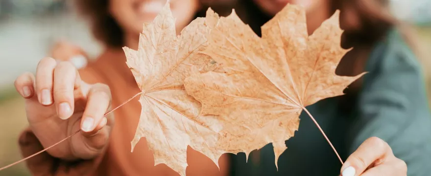 Redakcja poleca — listopadowe odkrycia