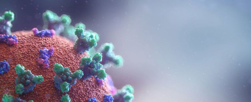 Pandemia: co to znaczy i czym różni się od epidemii 