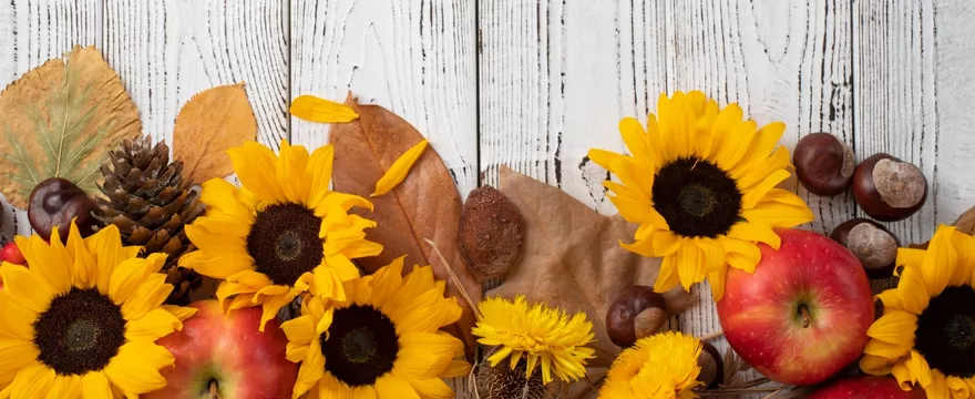 Redakcja poleca — wrześniowe powroty