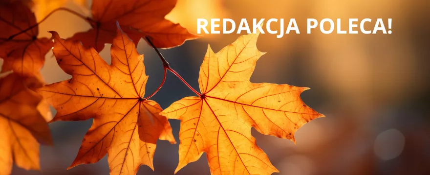 Redakcja poleca: Jesień w dobrym nastroju!
