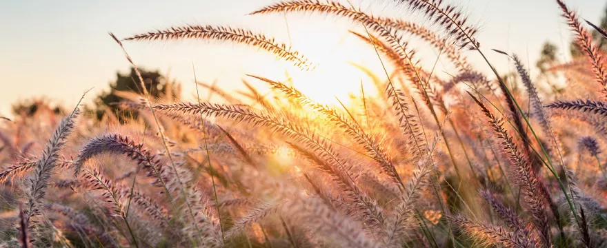 Redakcja poleca — sierpniowe inspiracje