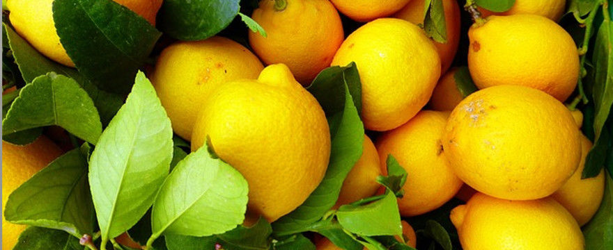 Cytrynowy detoks, czyli oczyszczanie organizmu sokiem z cytryny