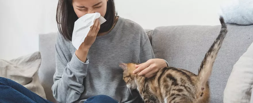Domowe sposoby na alergie – co naprawdę działa?