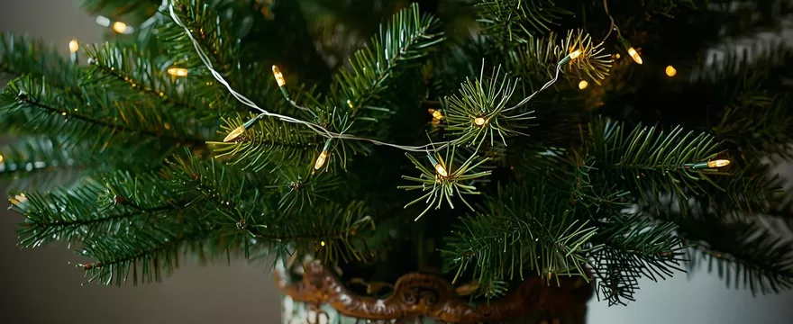 Wypożyczenie choinki — ekologiczny sposób na świąteczne drzewko