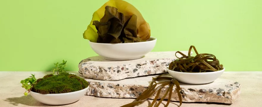 Czym jest sea moss i czy warto go dodać do swojej diety?