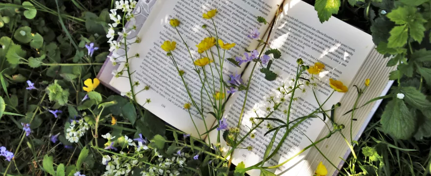 Zabawy z literkami i z cyferkami – nauka przez zabawę 