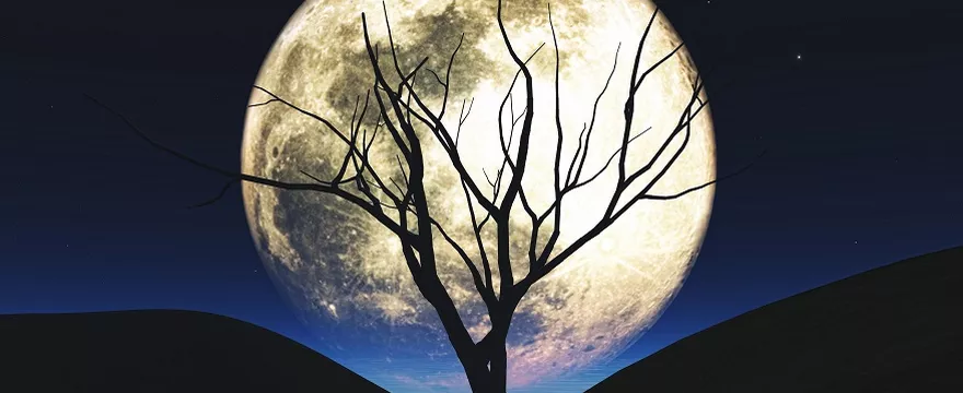 Kiedy jest pełnia Księżyca w czerwcu 2023? Truskawkowy Księżyc już wkrótce na niebie!