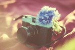 article icon