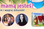 article icon