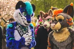 Kim są furasy? Subkultura furry. Co rodzic powinien wiedzieć?