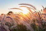 Redakcja poleca — sierpniowe inspiracje