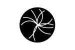 article icon