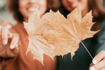 article icon