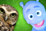 article icon