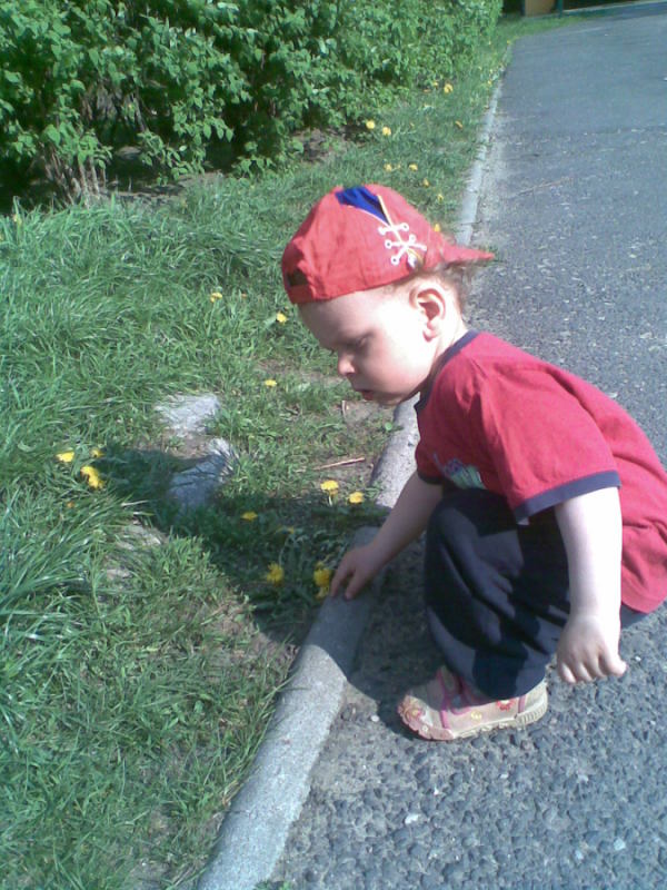 Zbieram kwiatki dla mamy:)