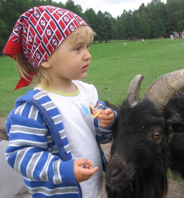 W kadzidłowie - Park Dzikich Zwierząt