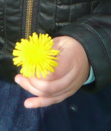 Dłonie każdego dziecka są zaczarowane, ale kiedy dochodzi do nich kwiatek stają się magiczne