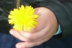 Dłonie każdego dziecka są zaczarowane, ale kiedy dochodzi do nich kwiatek stają się magiczne