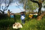 Majówkowe odwiedziny w ulubionym miejscu - u pszczółek z naszą pszczółką - Mają ;)
