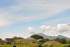 DSC_0187.JPG