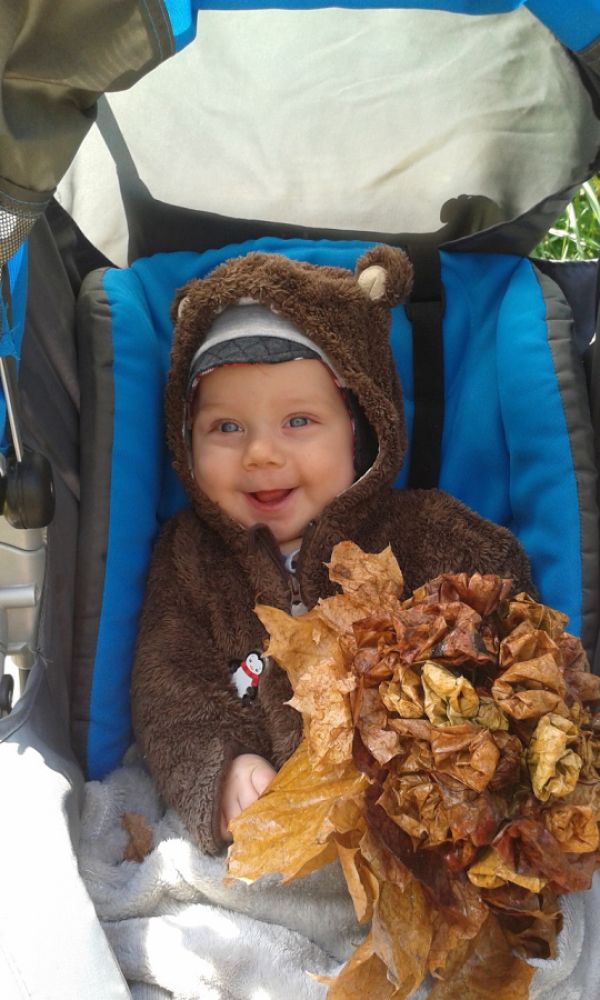 Szczęśliwy jesienny niedźwiadek na spacerku z bukietem liści :)