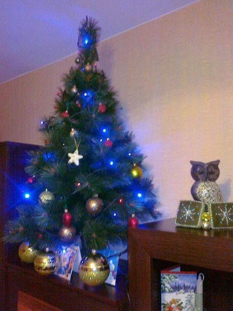 choinka 2013